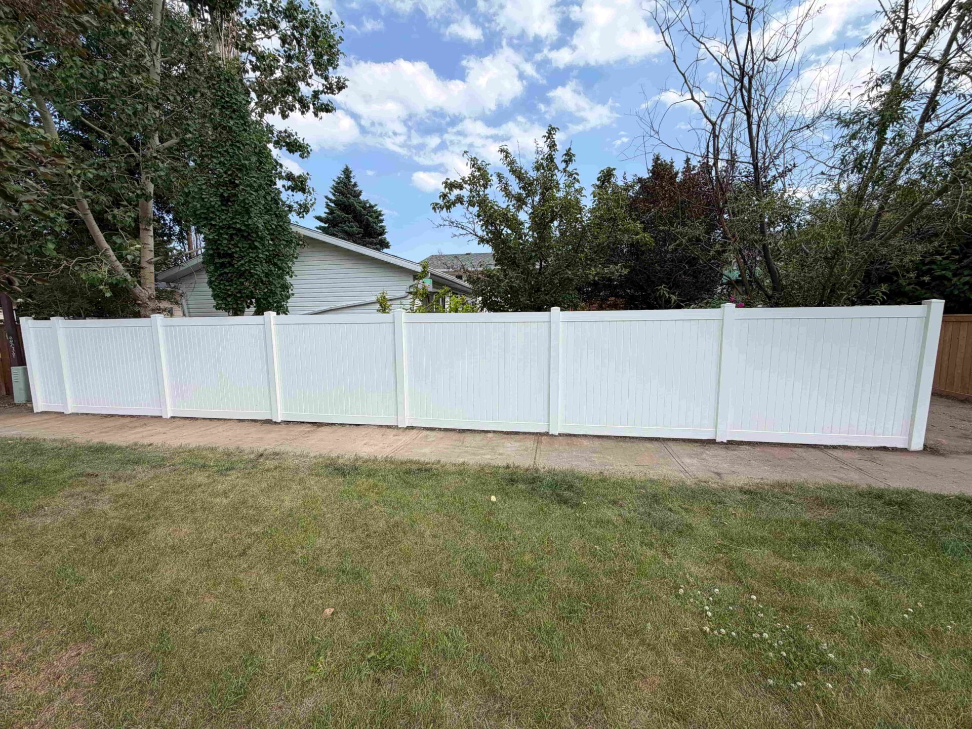 Vinyl Vs Wood Fencing in Calgary | Which Is Better for Alberta Weather